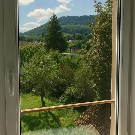 Le Refuge Balnéo - Nature&bien-être à Dié Appartement Saint-Die-des-Vosges